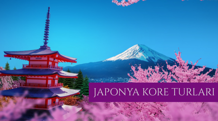 JAPONYA KORE TURLARI